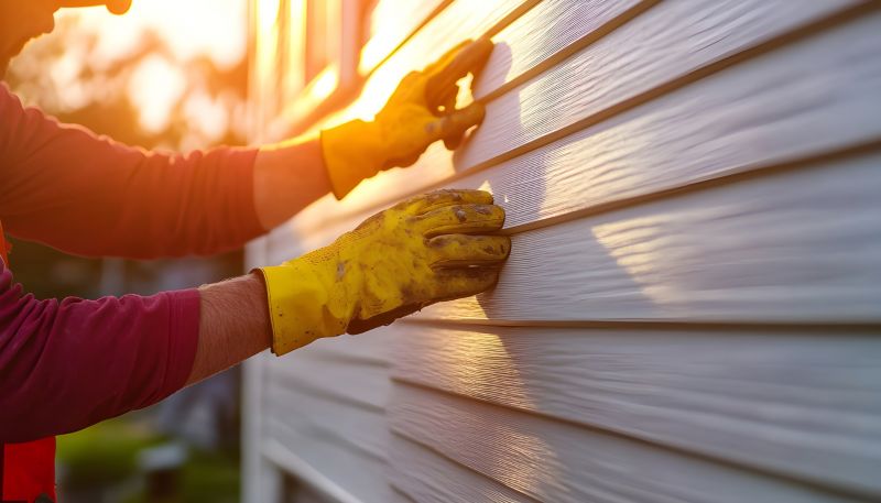 Professional Siding Maintenance